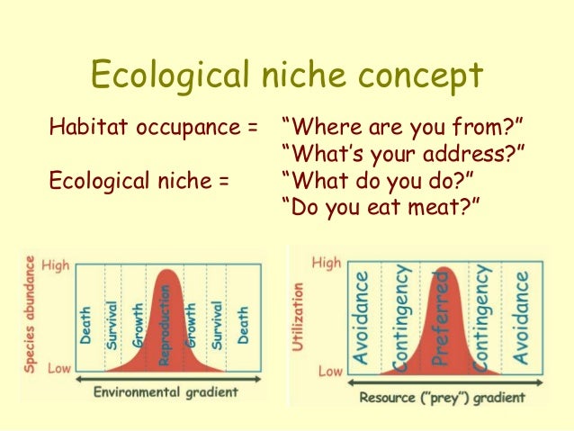 the importance of the concept of the ecological niche Glossary we are committed to bringing a greater understanding of ecology, and its importance, to a wider audience ecological niche. the importance of the concept of the ecological niche Glossary we are committed to bringing a greater understanding of ecology, and its importance, to a wider audience ecological niche.